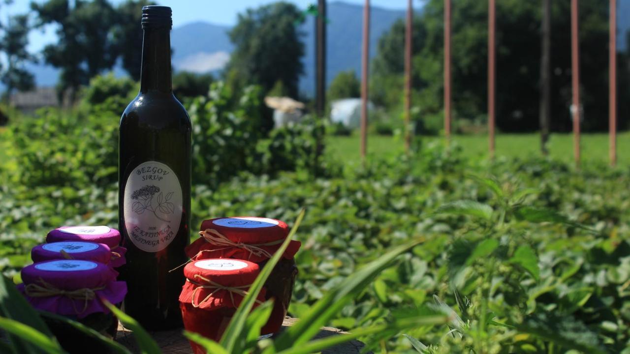 Garden Apartments Jansa Radovljica Εξωτερικό φωτογραφία