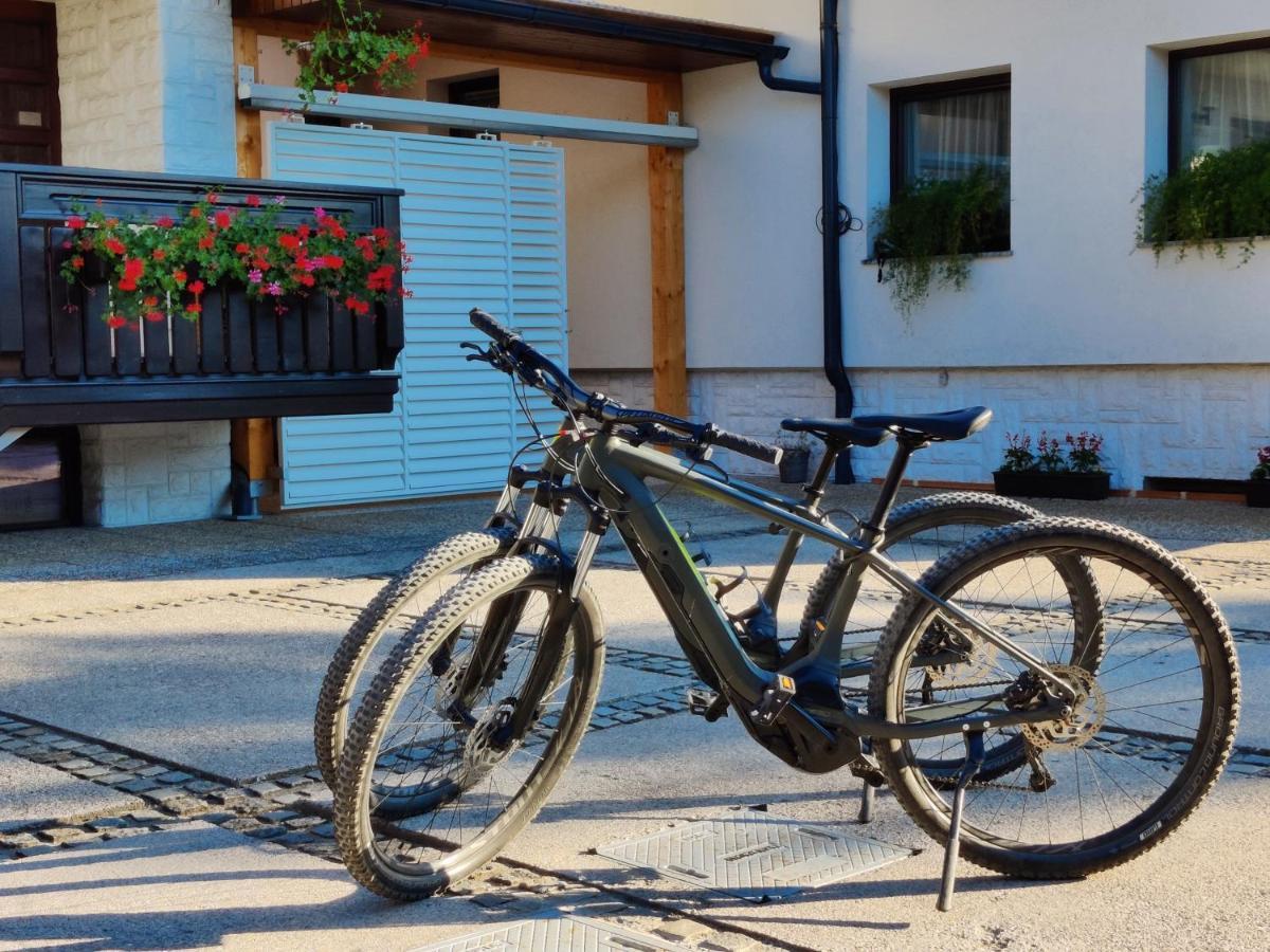 Garden Apartments Jansa Radovljica Εξωτερικό φωτογραφία