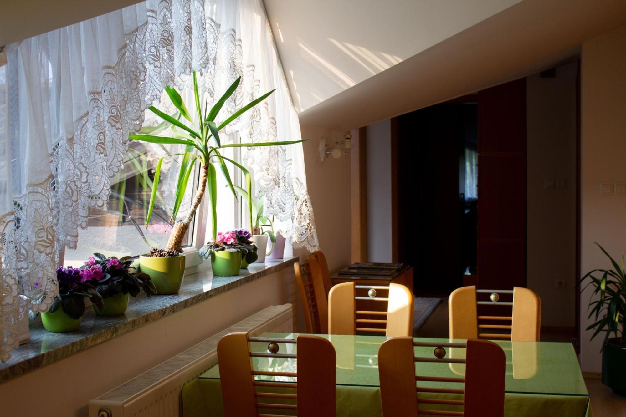 Garden Apartments Jansa Radovljica Δωμάτιο φωτογραφία