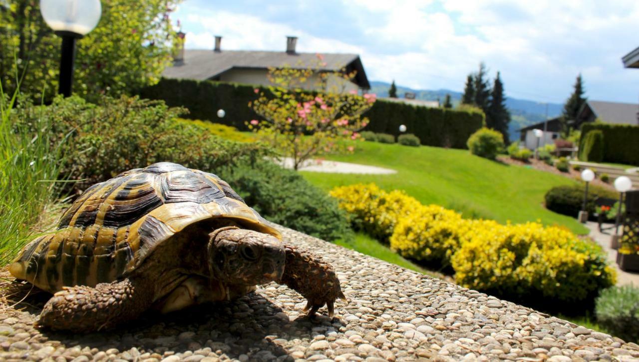 Garden Apartments Jansa Radovljica Εξωτερικό φωτογραφία